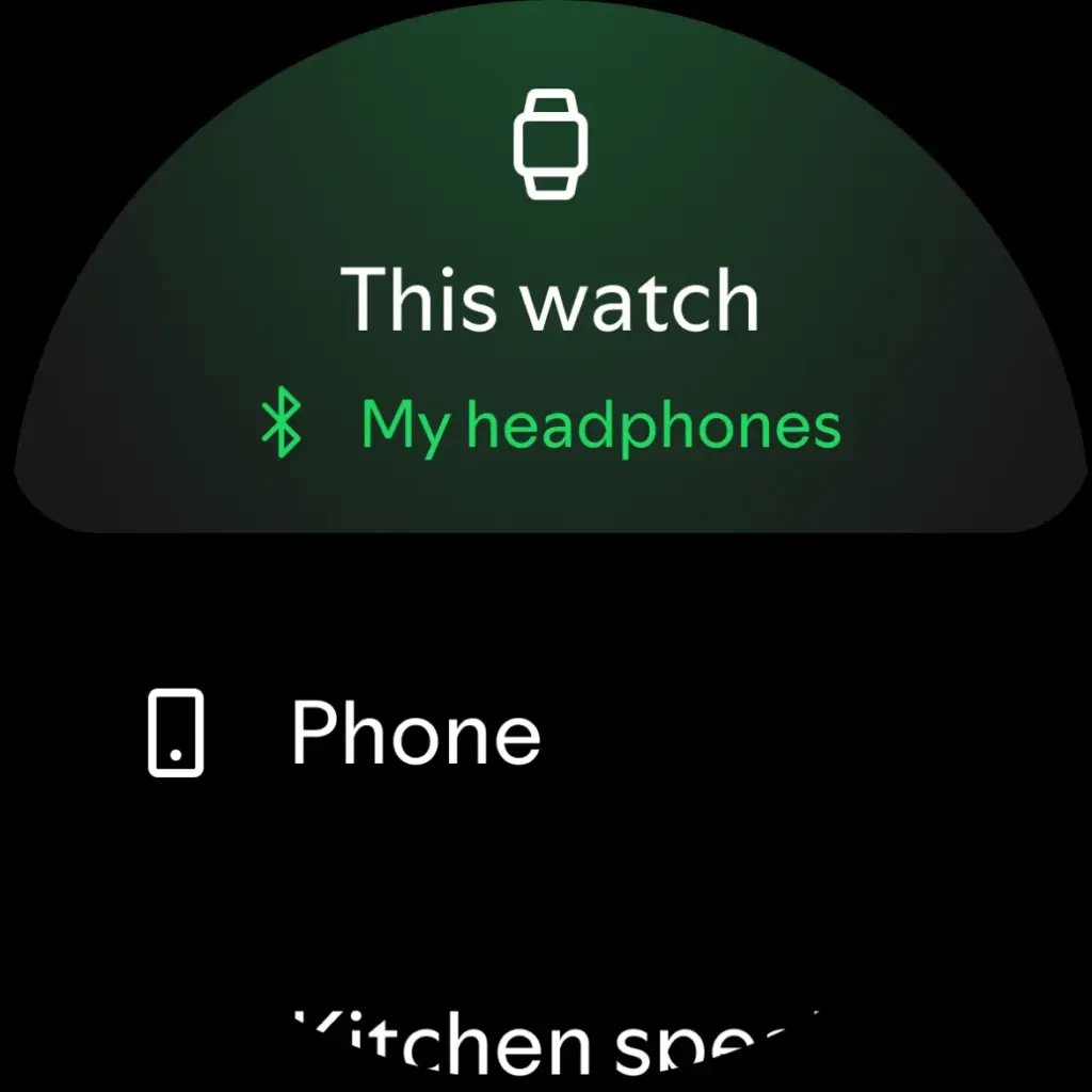 Tải Spotify MOD APK v9.1.40.1486 (Mở khóa Premium) Screenshot 31
